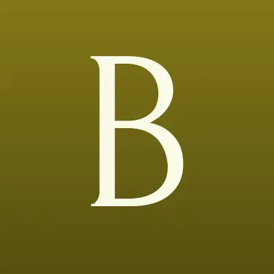 Большая стирка, магазин бытовой техники, лого-визитка